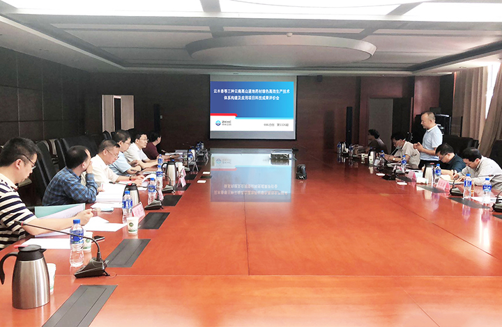 云木香等三种云南高山道地药材绿色高效生产技术体系构建及应用 anli.jpg